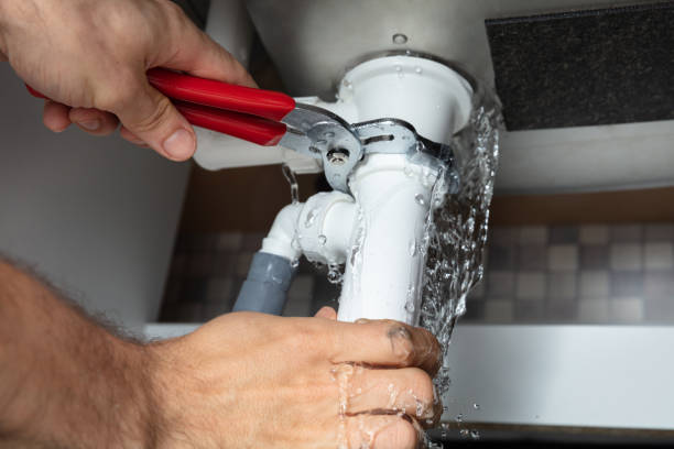Best Flood restoration services  in Fulda, MN