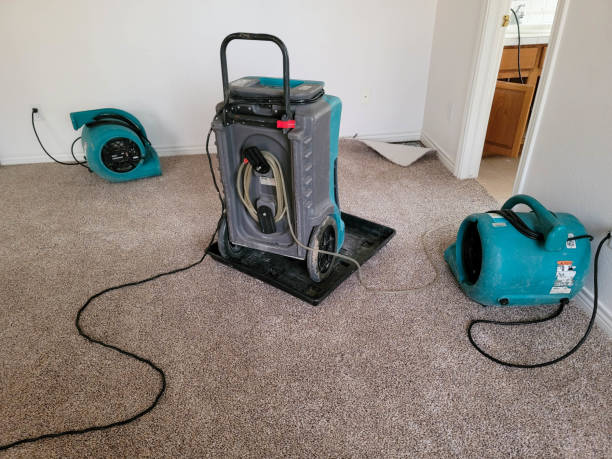 Best Water damage cleanup near me  in Fulda, MN