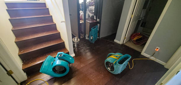 Best Fire Damage Restoration  in Fulda, MN