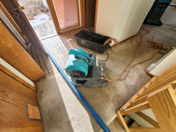 Sewage cleanup and water damage restoration in MN
