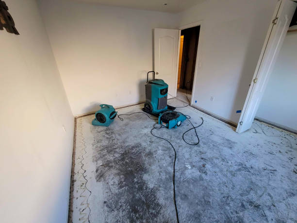 Best Commercial water damage restoration  in Fulda, MN