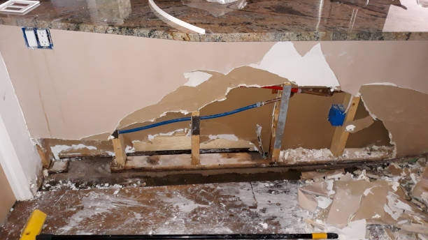 Best 24/7 water damage repair  in Fulda, MN