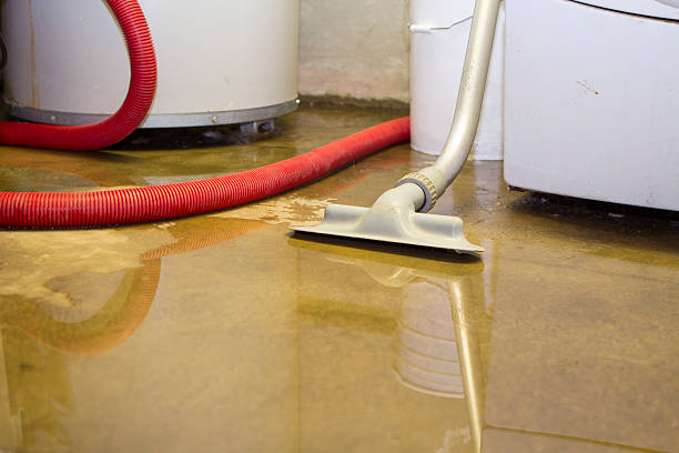 Best Basement water damage restoration  in Fulda, MN