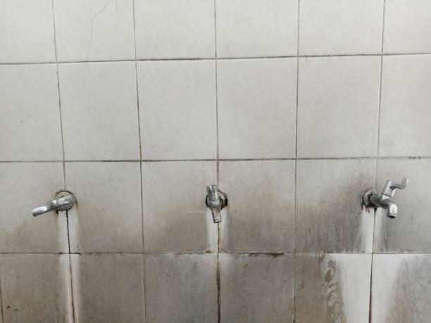 Best 24-hour water damage restoration  in Fulda, MN