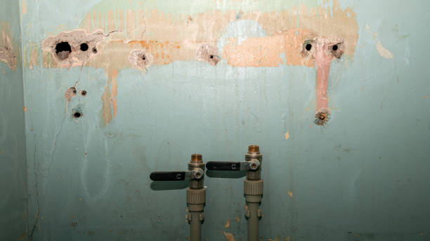 Best Flood damage cleanup  in Fulda, MN