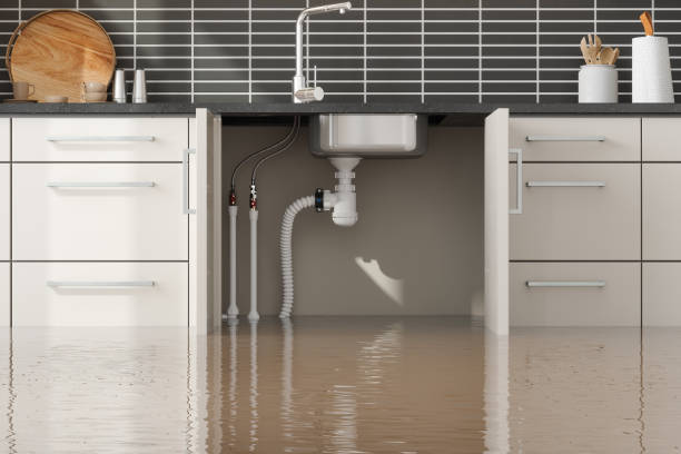  Fulda, MN Water damage restoration Pros