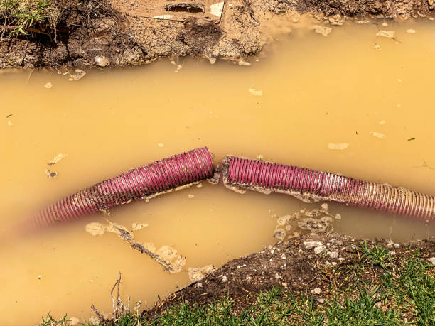 Best Emergency water damage restoration  in Fulda, MN