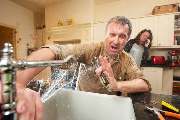 Best Professional water damage repair  in Fulda, MN
